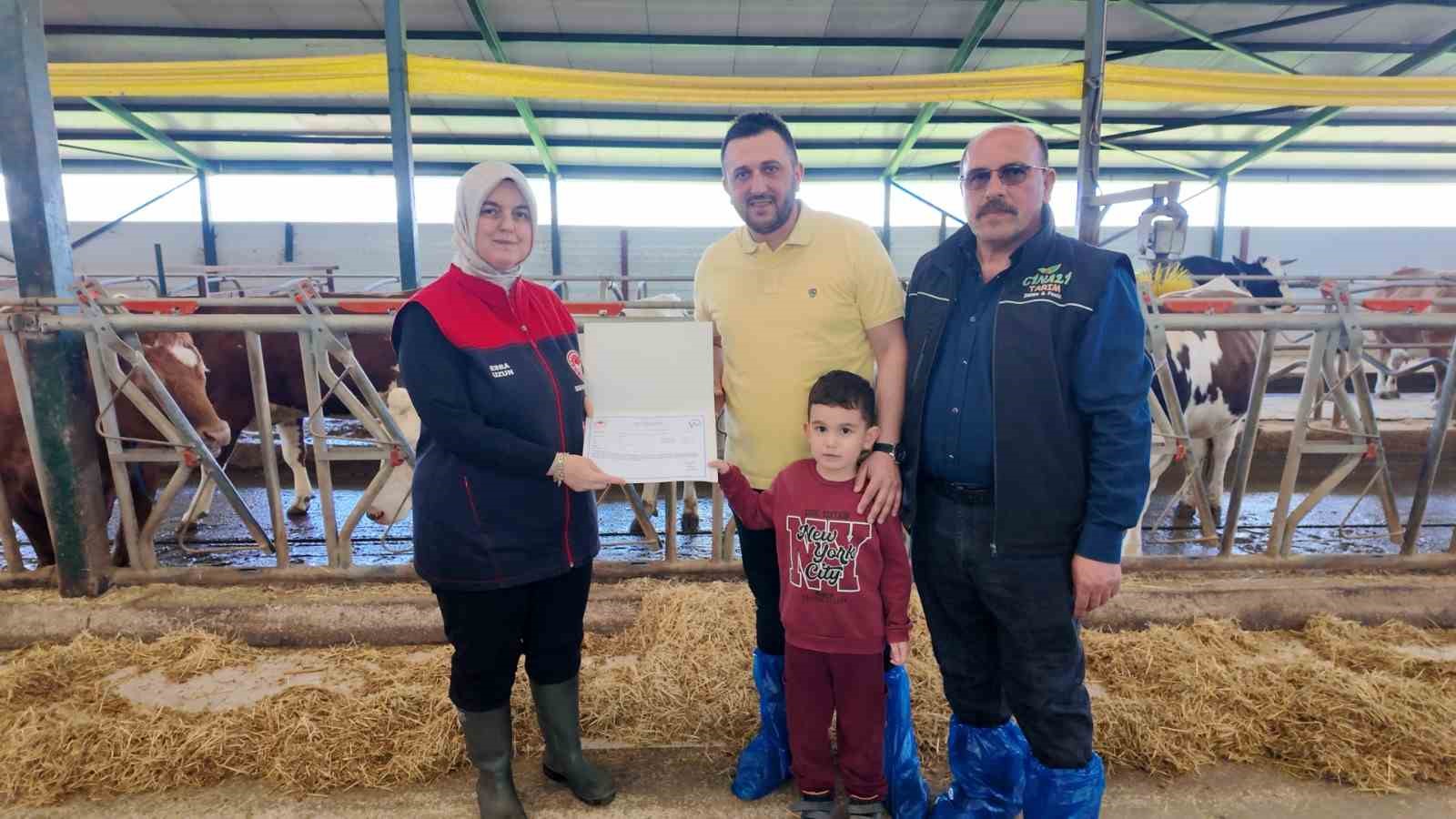 Düzce’de ari işletme sayısı artıyor
