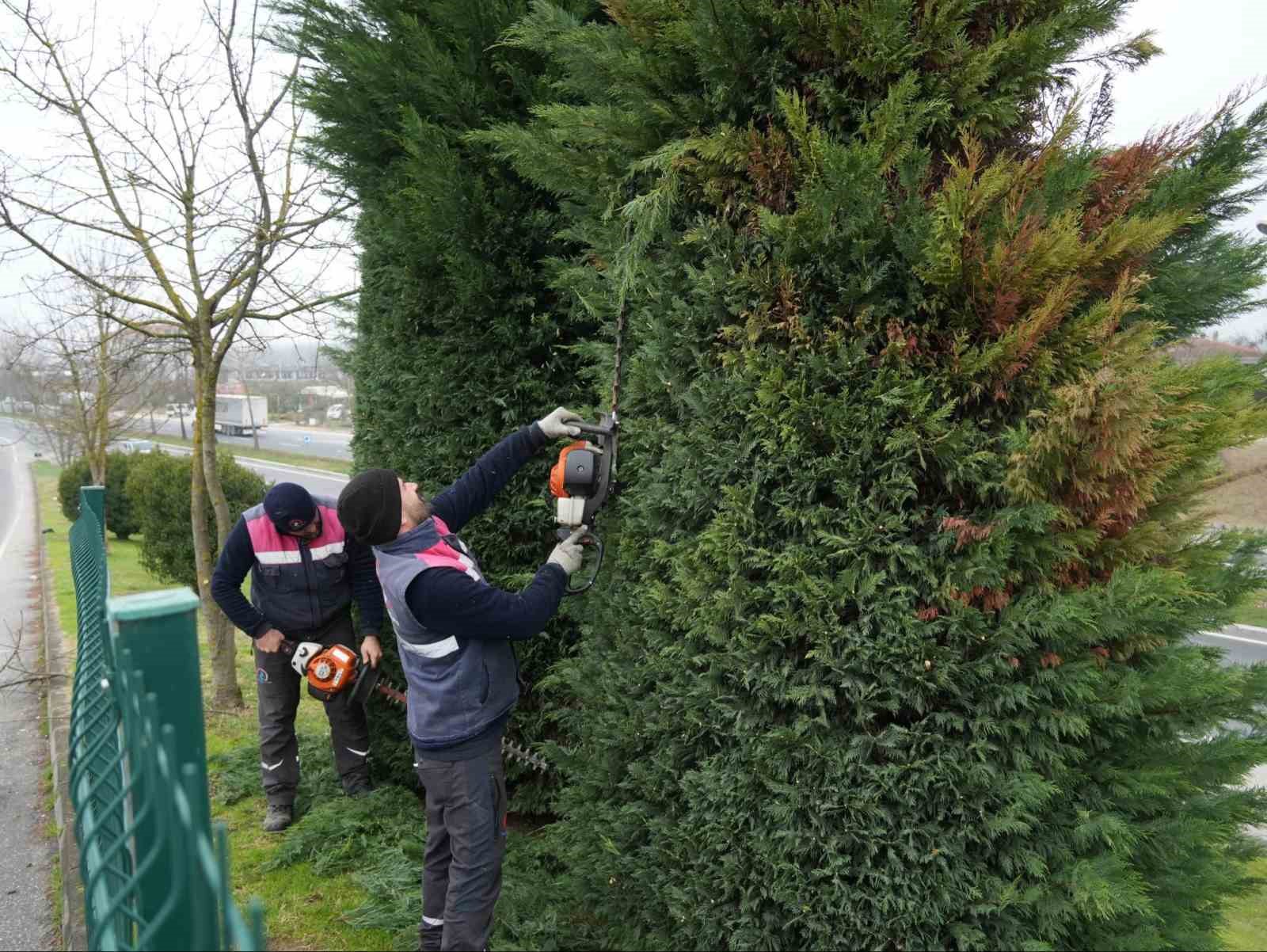 Düzce’de bahar hazırlıkları başladı
