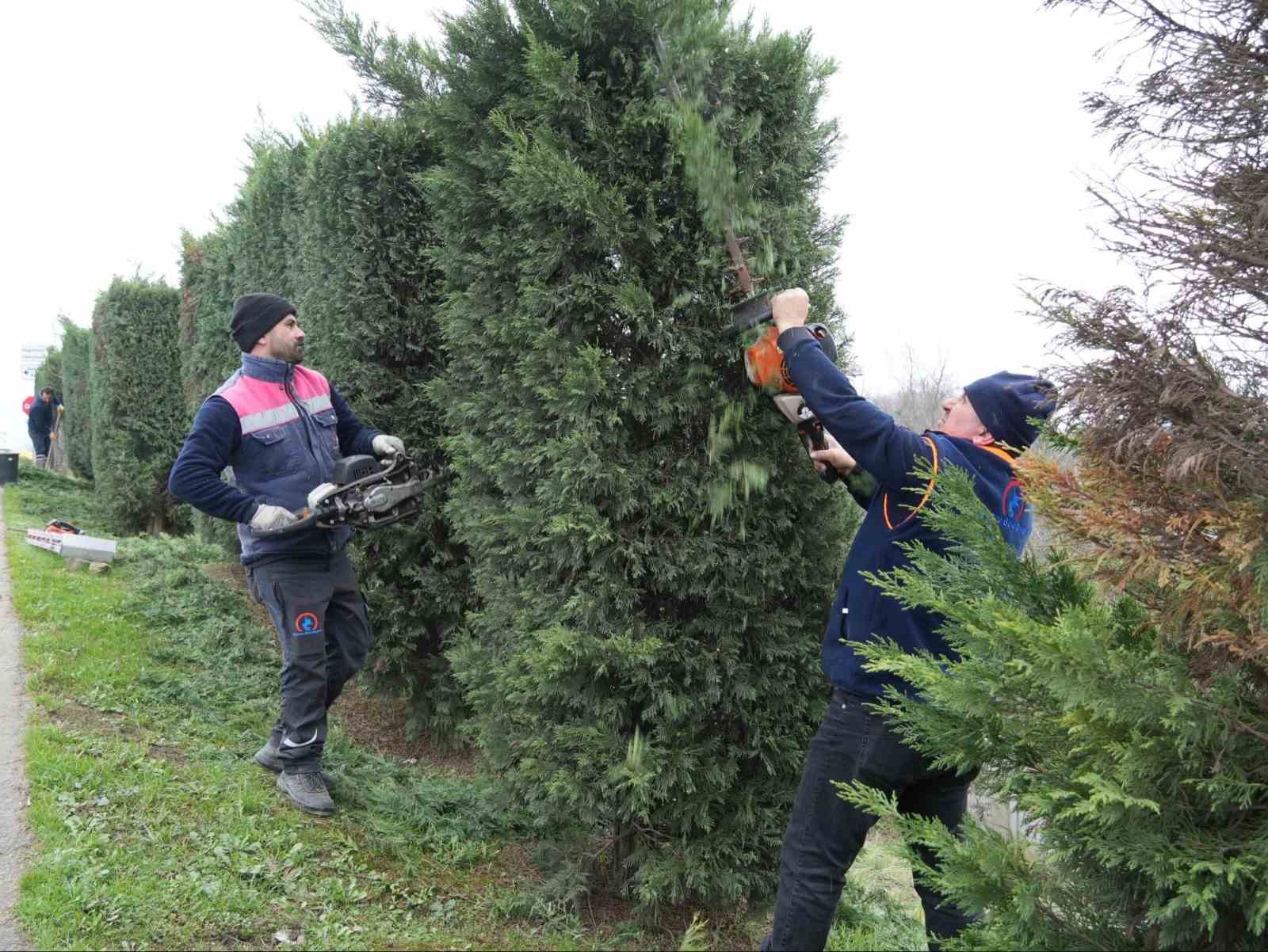 Düzce’de bahar hazırlıkları başladı
