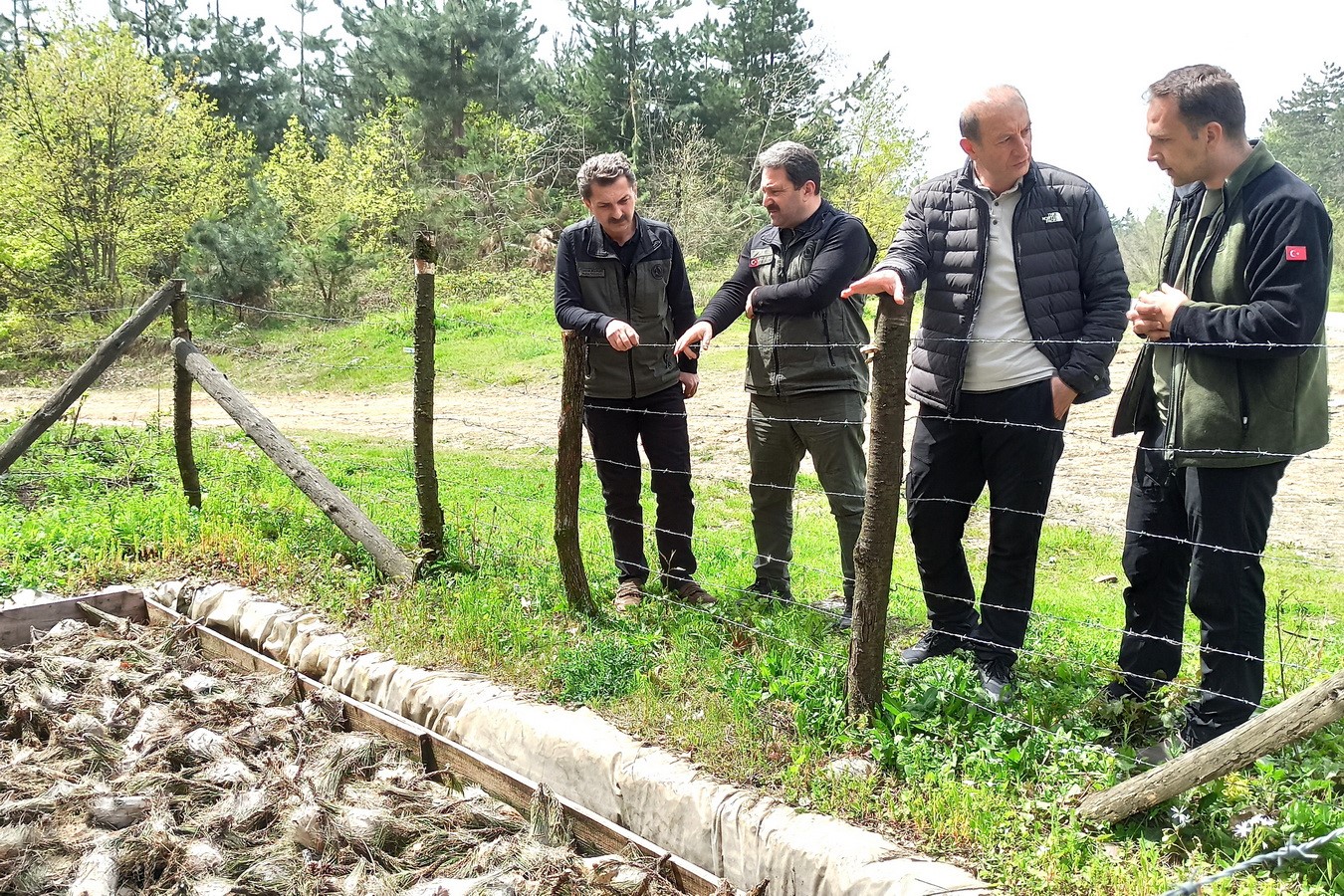 Düzce’de Çam Kese böceğiyle mücadele başladı
