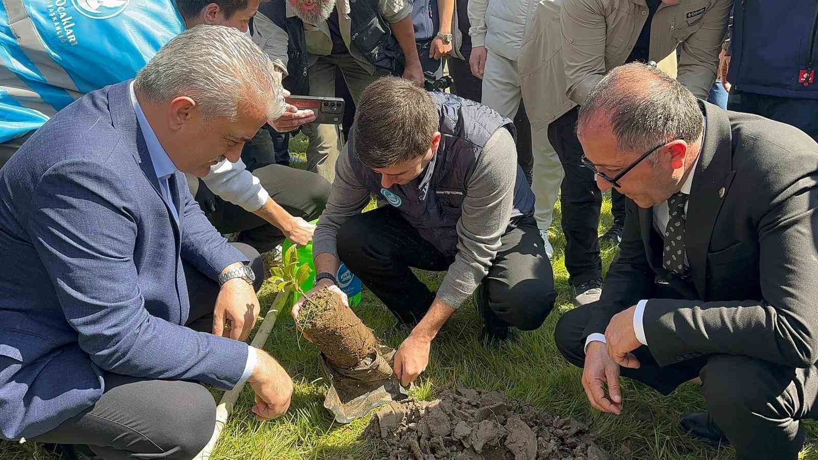 Düzce’de Devlet Bahçeli Hatıra Ormanı’na fidan dikildi
