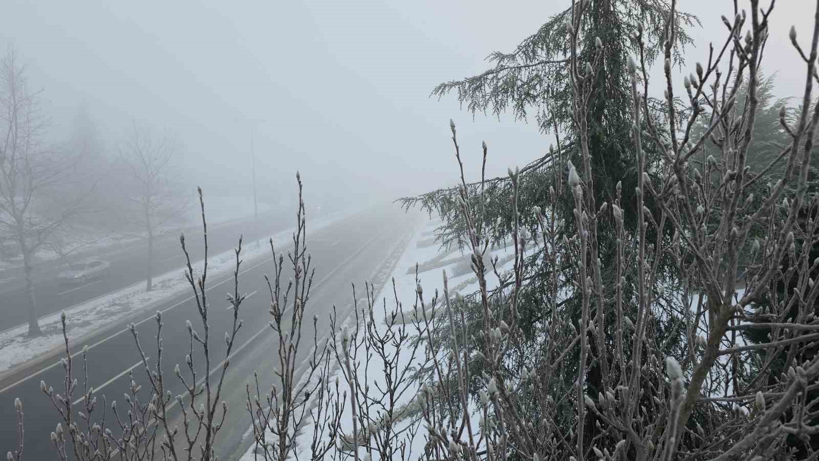 Düzce’de sis ve soğuk hava etkili oluyor

