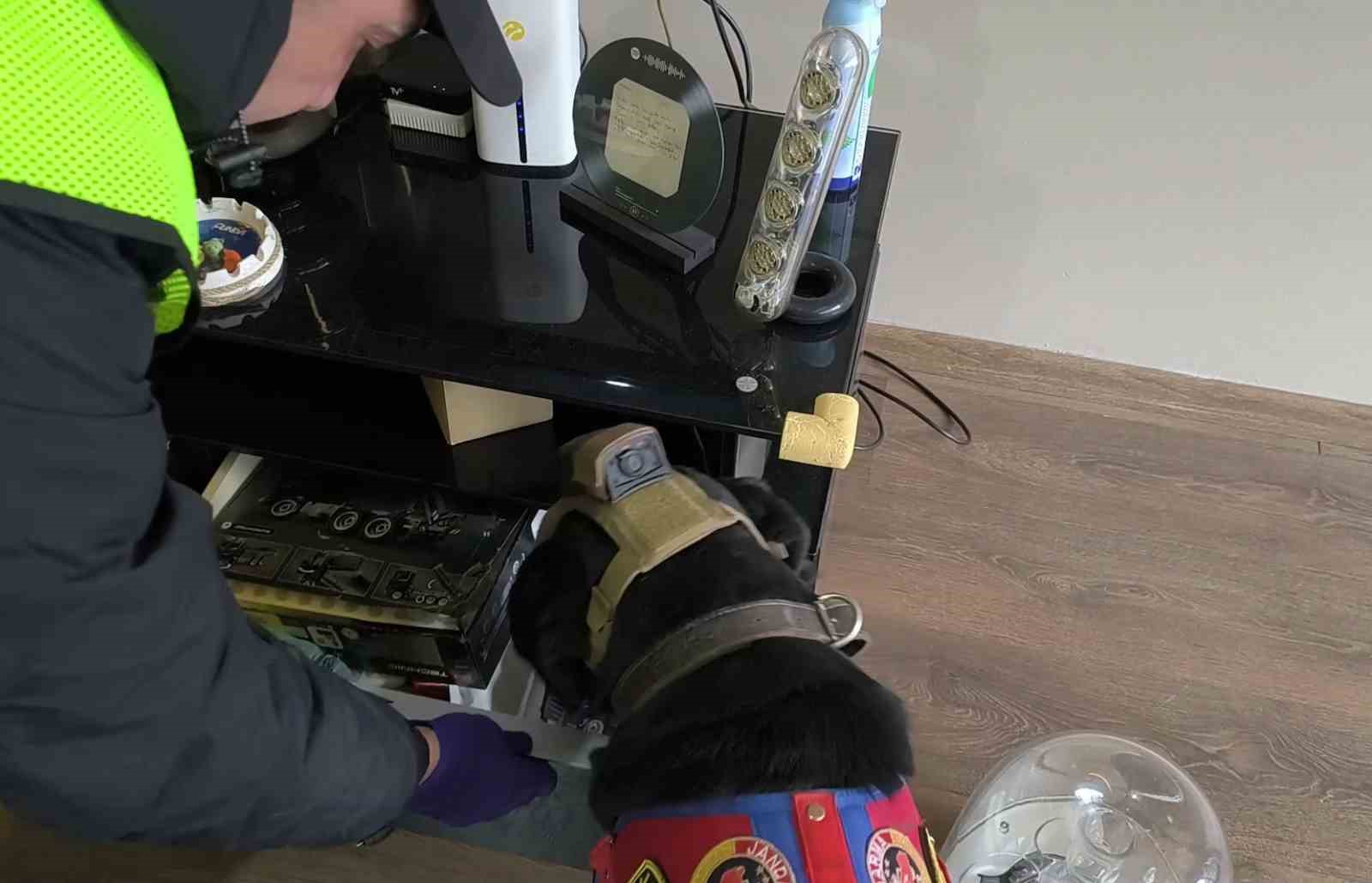 Düzce’de suç örgütü operasyonu: 36 gözaltı
