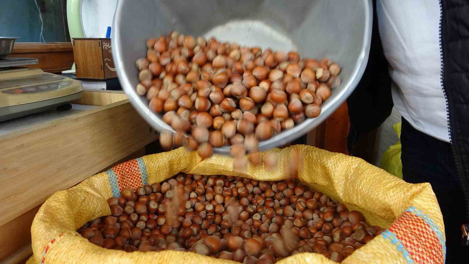 Düzce’den iki ayda bin 837 ton fındık ihraç edildi
