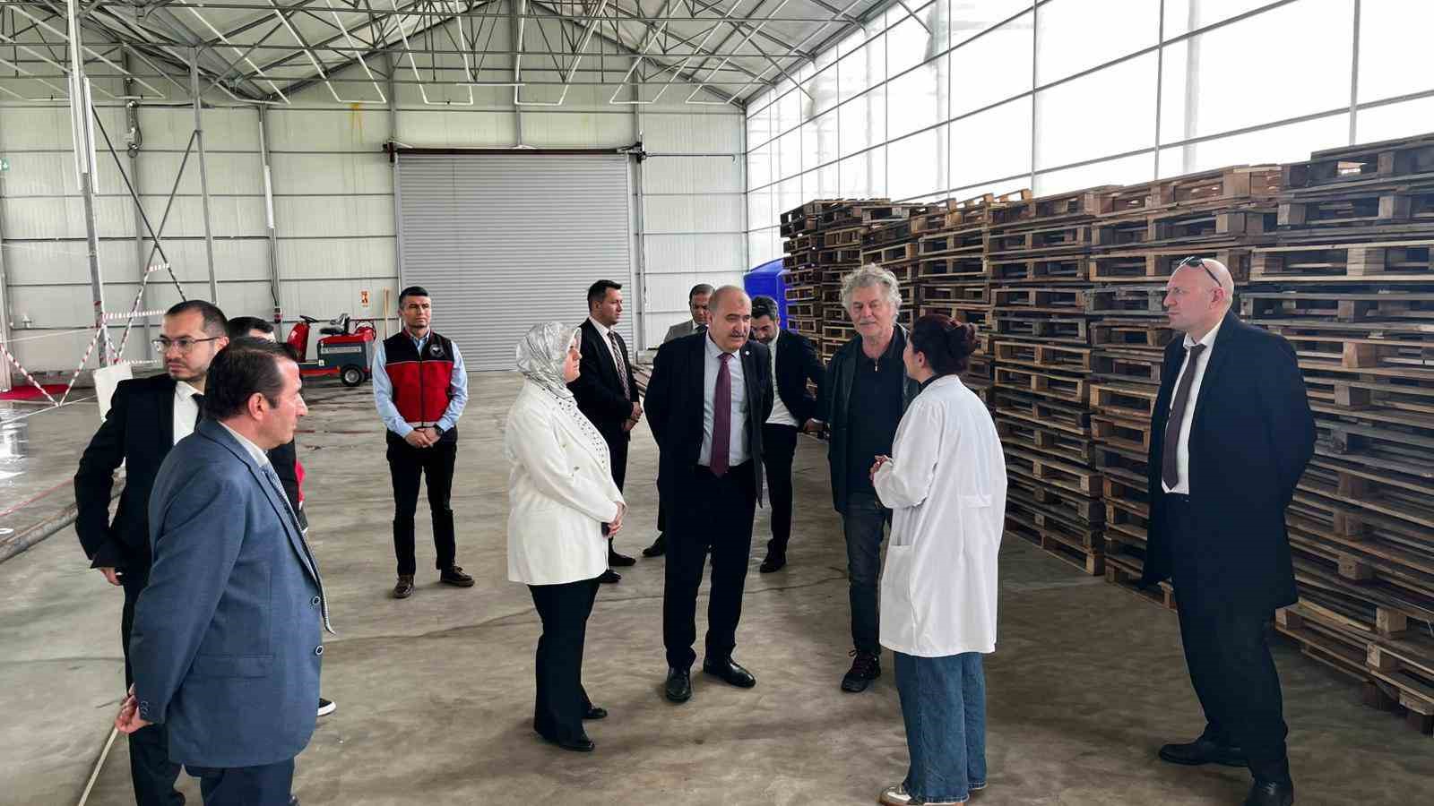 Düzce’den Seracılık İhtisas Organize Tarım Bölgesi’nde inceleme
