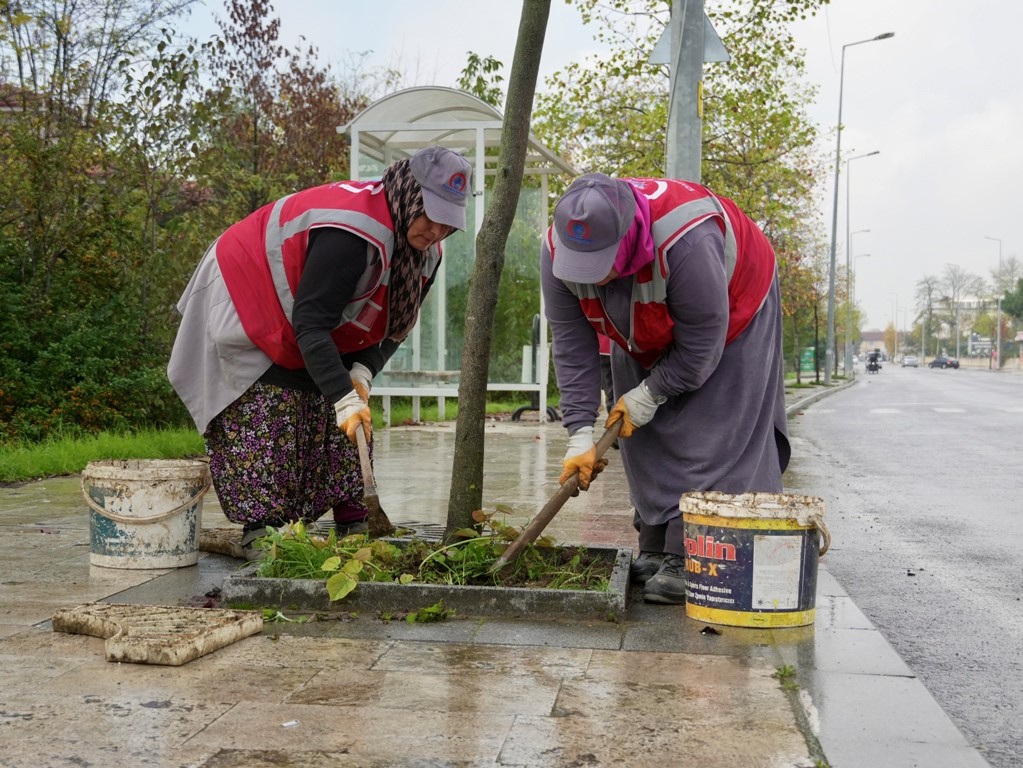 Düzce’nin park ve bahçeleri onlara emanet
Düzce’nin park ve bahçeleri onlara emanet