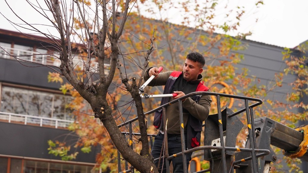 Düzce’nin park ve bahçeleri onlara emanet
Düzce’nin park ve bahçeleri onlara emanet