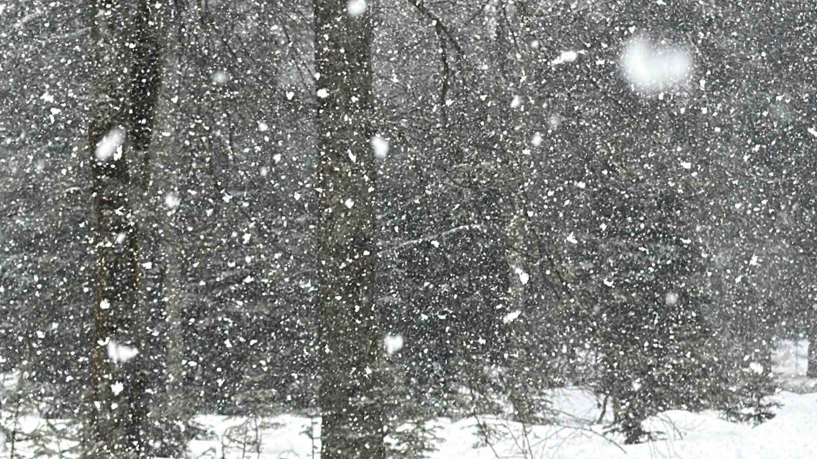 Düzce’nin yüksek kesimlerinde kar kalınlığı 1 metreyi buldu
