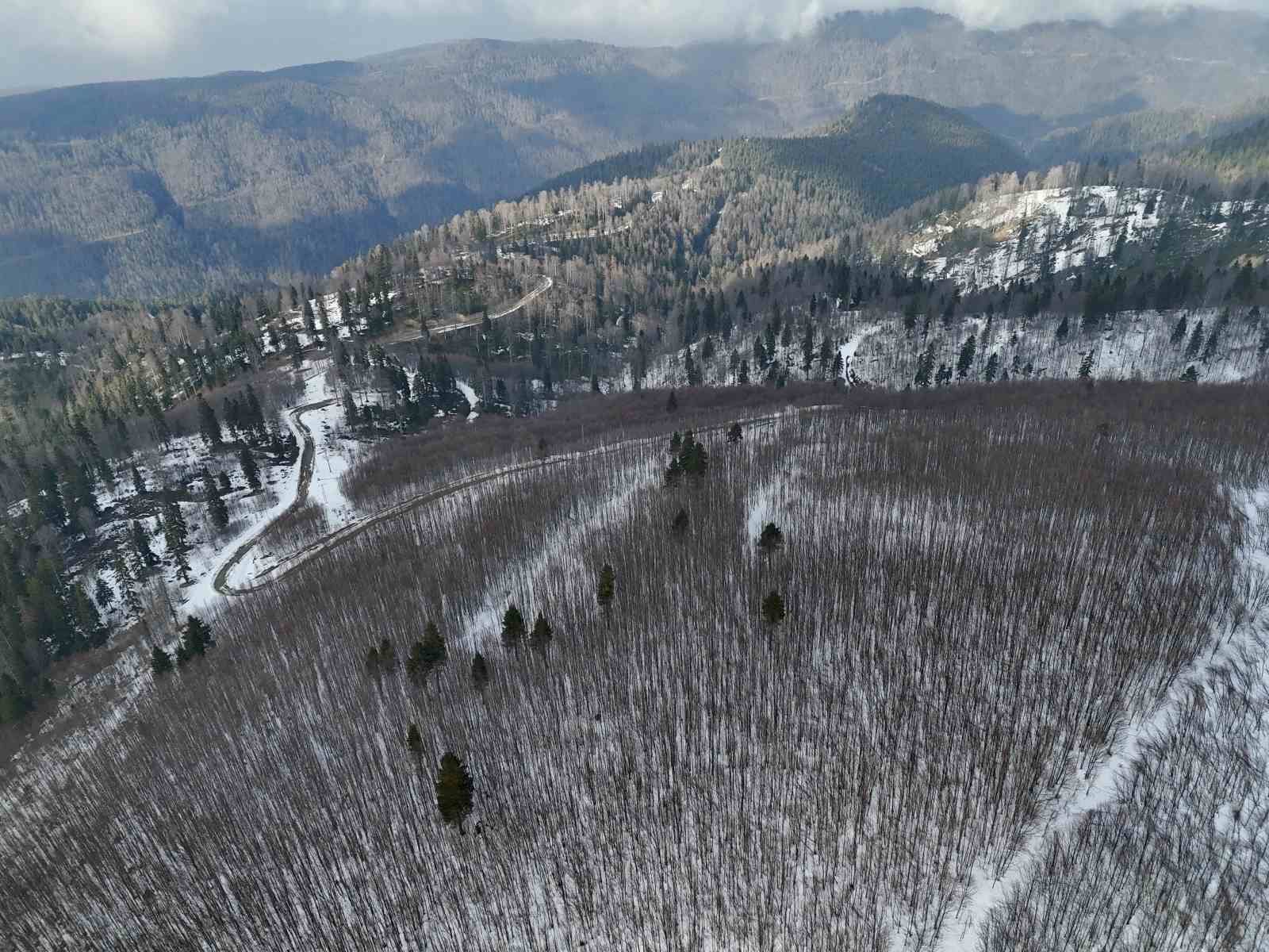 Düzce’nin zirvesi Kardüz’den muhteşem görüntüler
