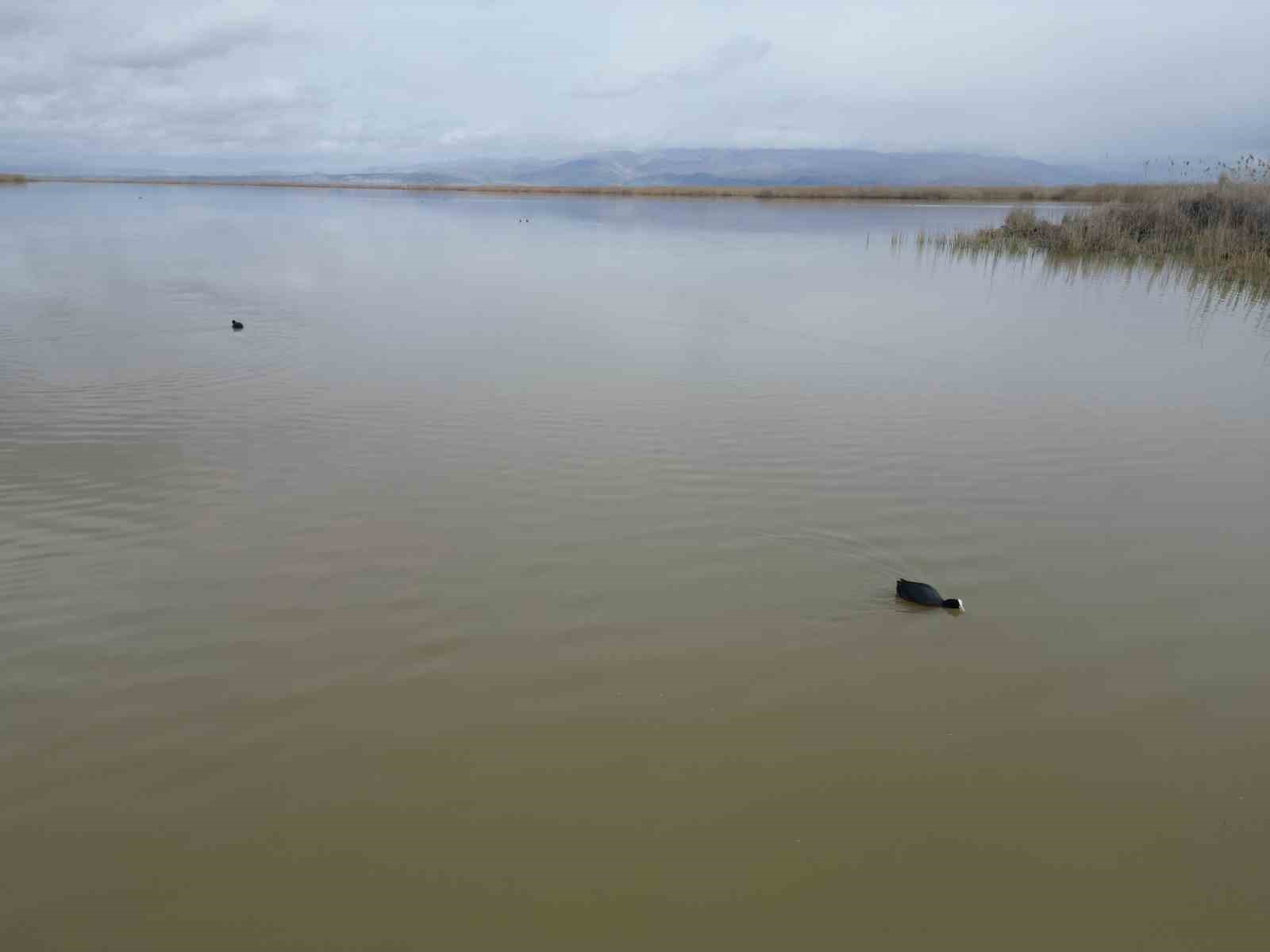 Eber Gölü’nde su seviyesi gözle görülür şekilde arttı
