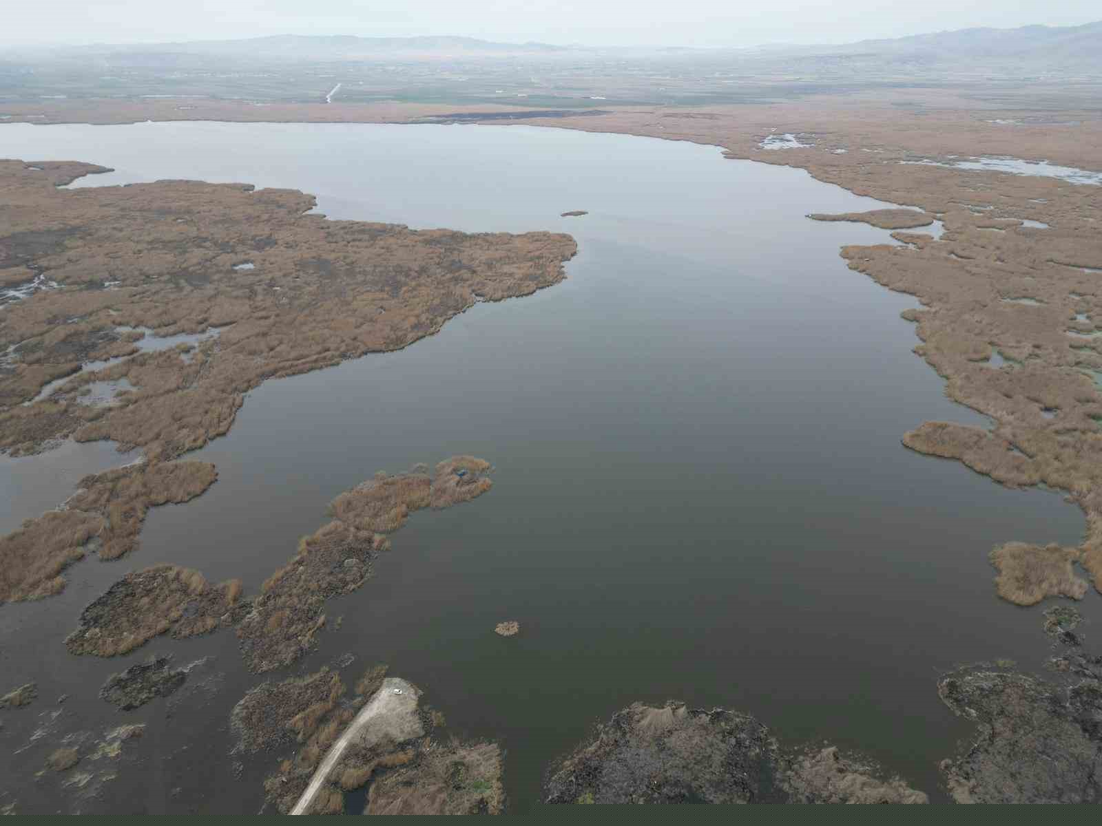 Eber Gölü’nden sevindirici haber geldi
