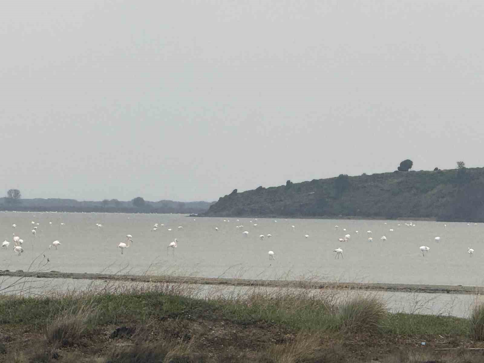 Eceabat Kaymakamı Kerem Yenigün’den Suvla Bölgesinde Doğa İncelemesi
