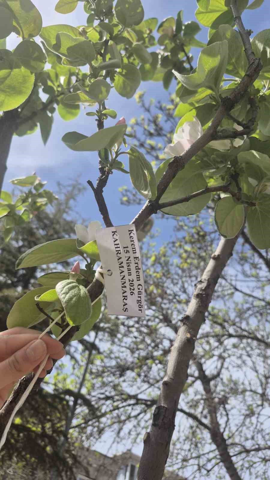 Edirne İlhami Ertem Anadolu Lisesi öğrencilerinden anlamlı etkinlik
