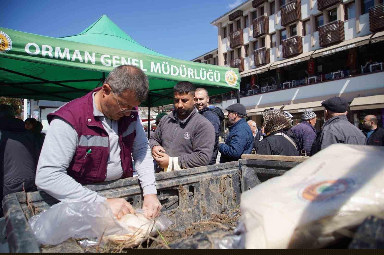 Edirne’de 3 bin ıhlamur fidanı toprakla buluşacak
Edirne’de 3 bin ıhlamur fidanı toprakla buluşacak