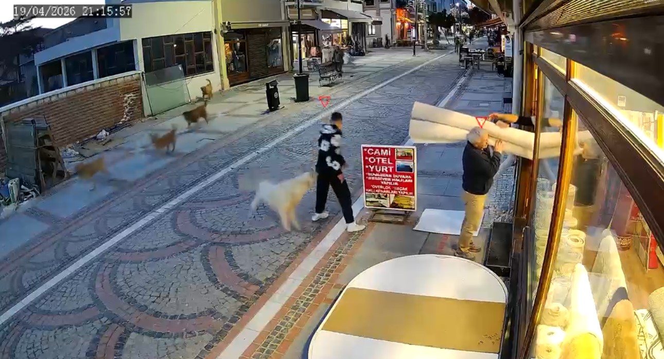 Edirne’de başıboş köpek saldırısı: 19 yaşındaki genç yaralandı
