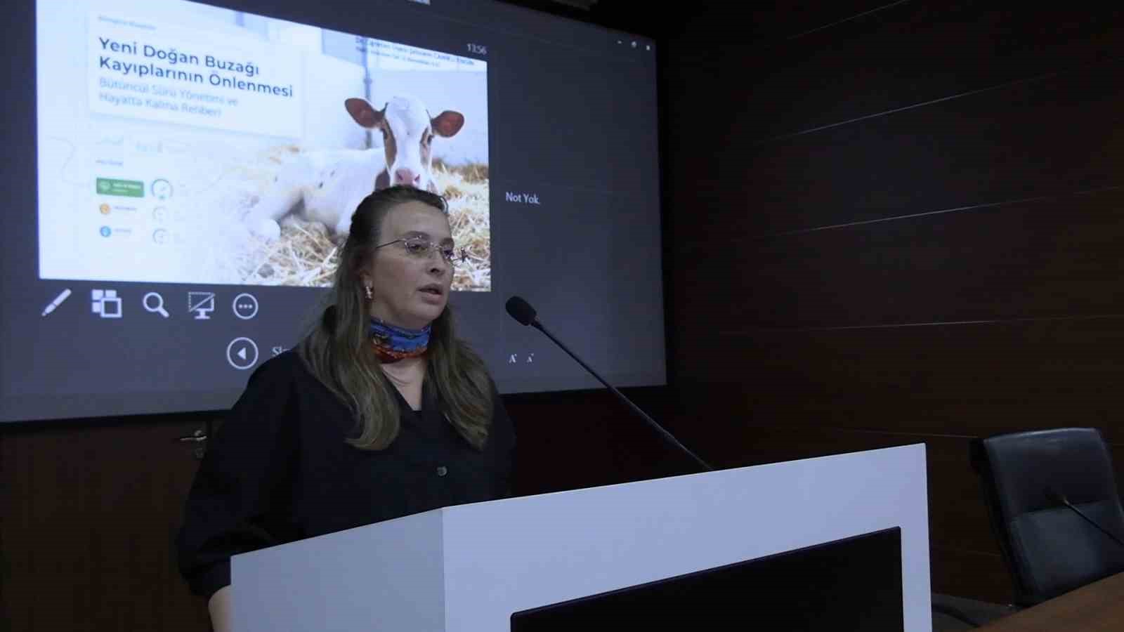 Edirne’de buzağı kayıplarını azaltma ve verimlilik eğitimi
