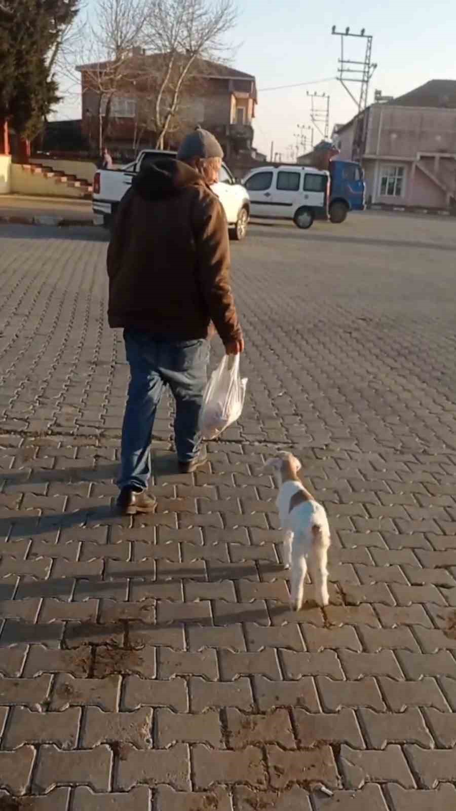 Edirne’de de "keçi ile alışveriş" keyfi
