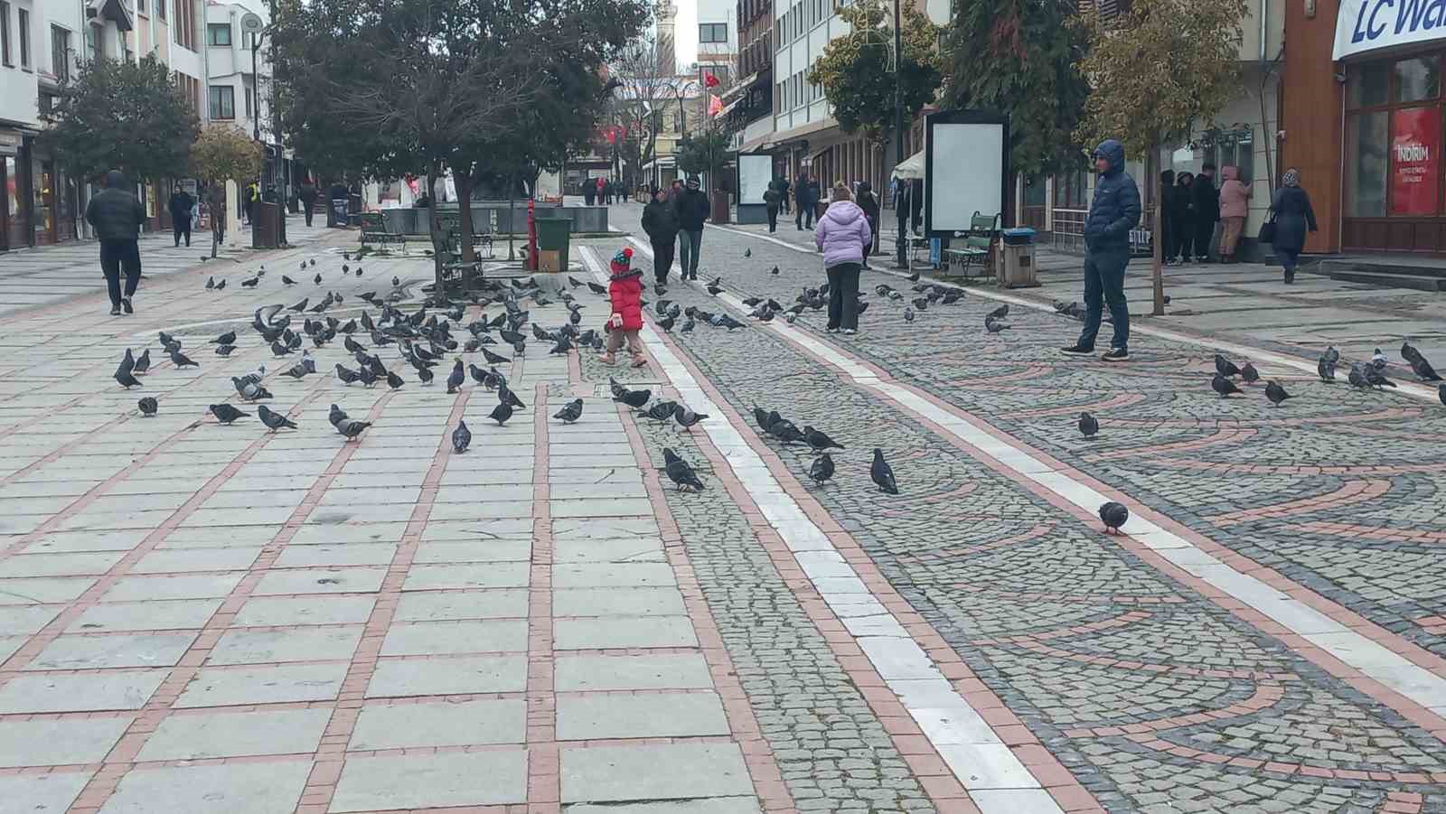 Edirne’de dondurucu soğuk: Edirneliler evde, Bulgarlar mağazalarda

