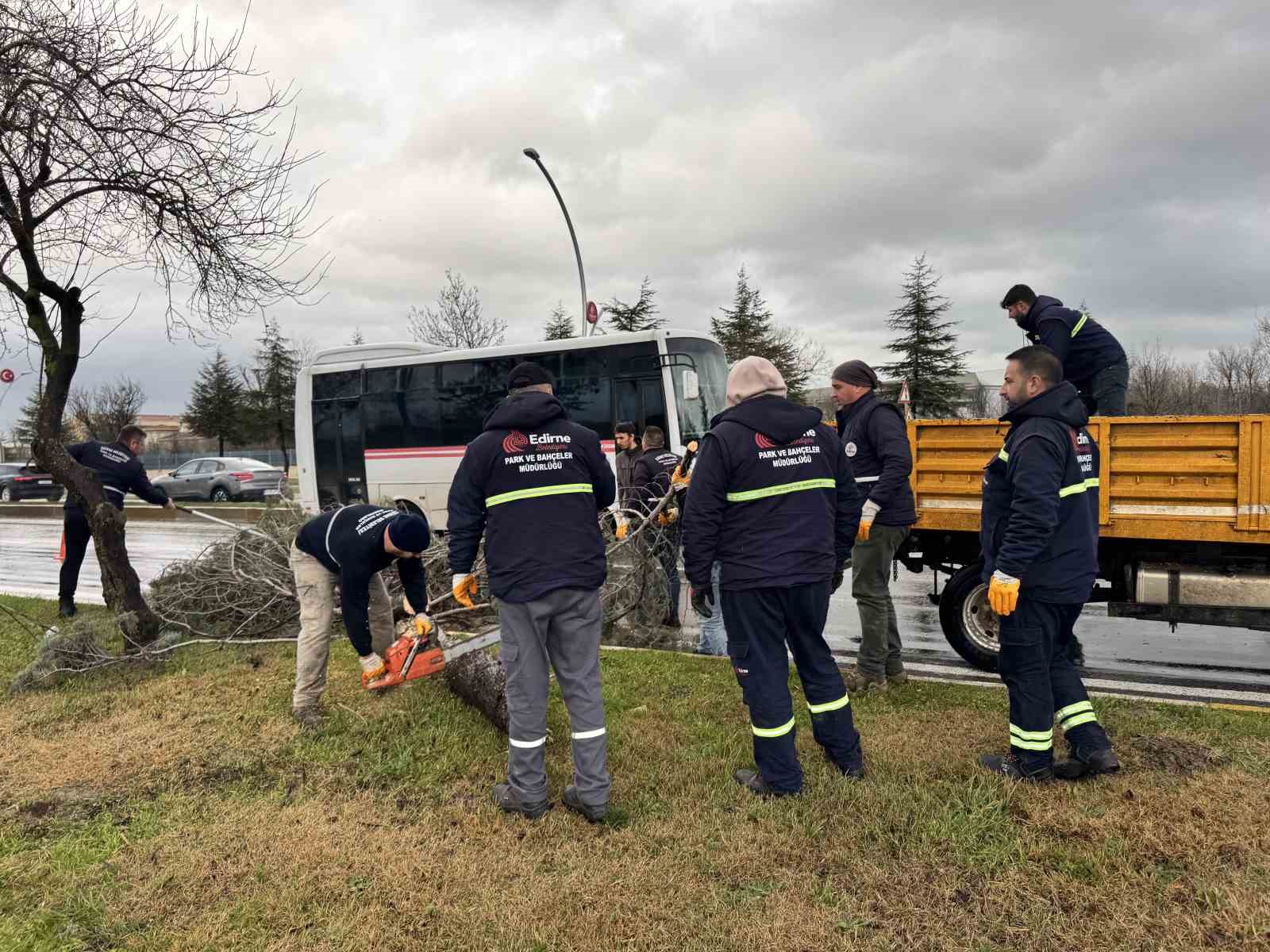 Edirne’de fırtına ağaçları devirdi
