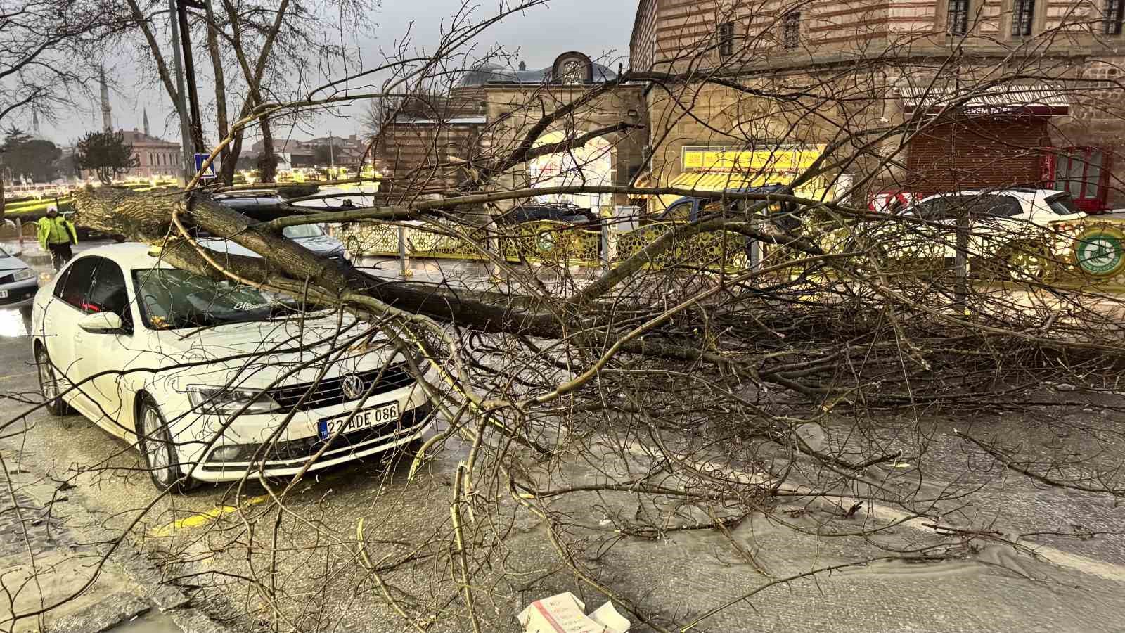 Edirne’de fırtına ağaçları devirdi
