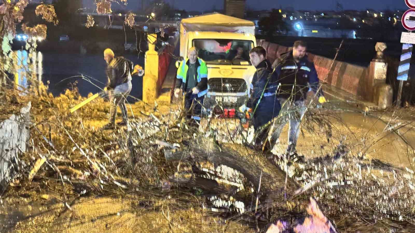 Edirne’de fırtına ağaçları devirdi
