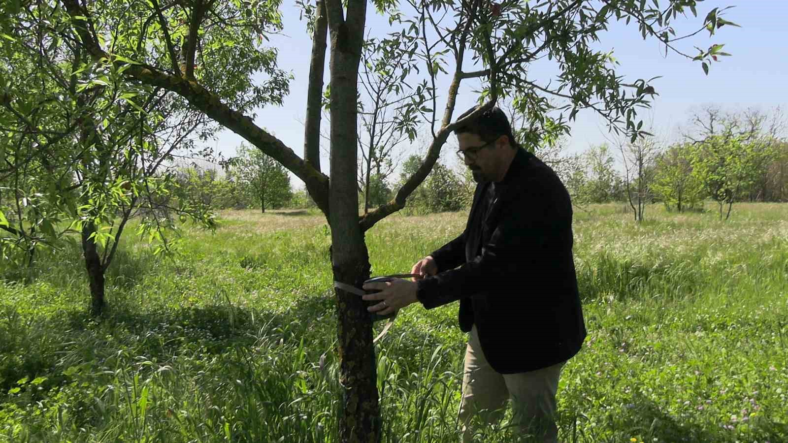 Edirne’de fotokapanlar yaban hayatını görüntülüyor
