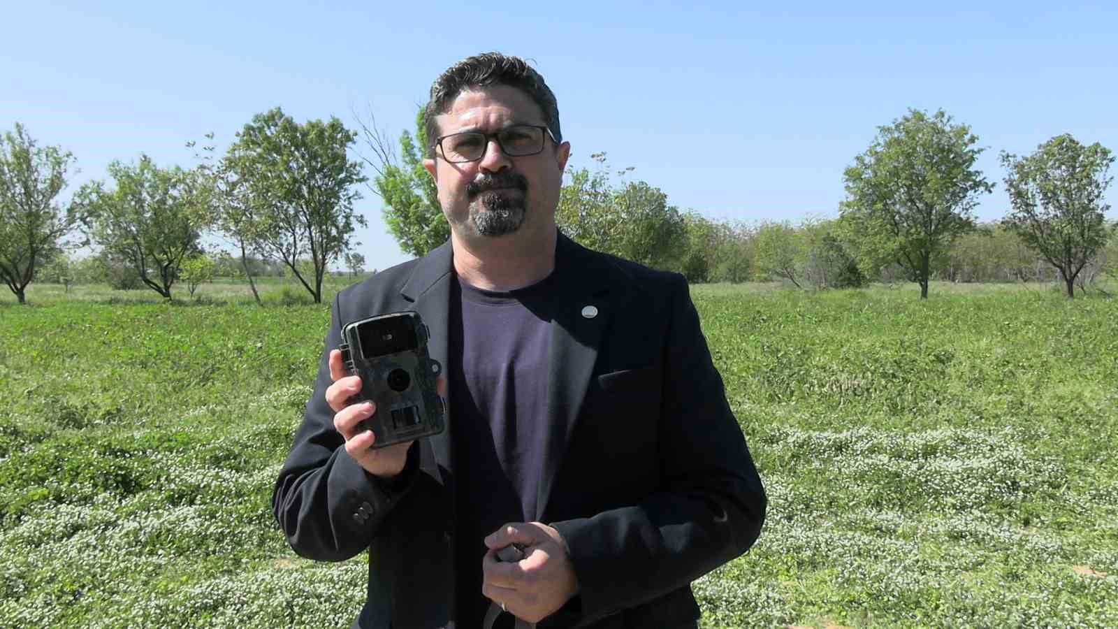 Edirne’de fotokapanlar yaban hayatını görüntülüyor
