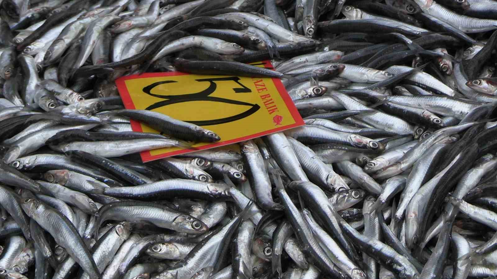 Edirne’de hamsinin kilosu 50 liraya düştü, tezgahlar şenlendi
