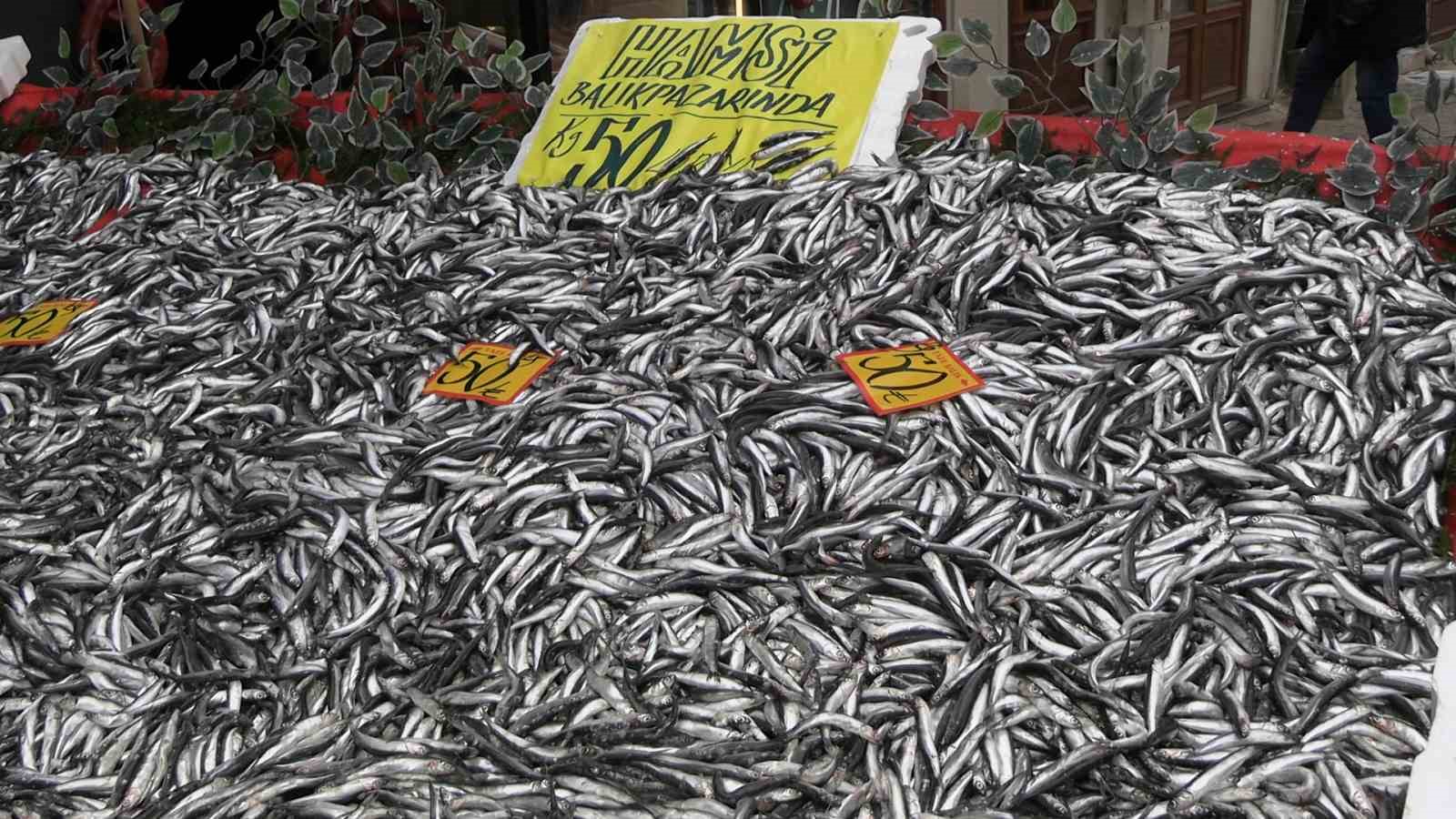 Edirne’de hamsinin kilosu 50 liraya düştü, tezgahlar şenlendi
