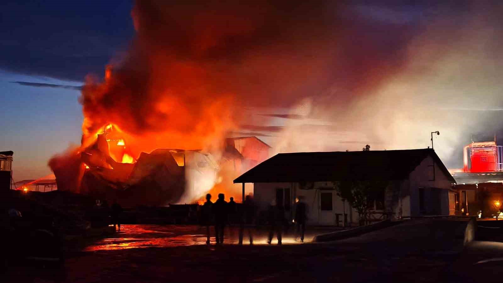 Edirne’de kereste fabrikasında yangın
