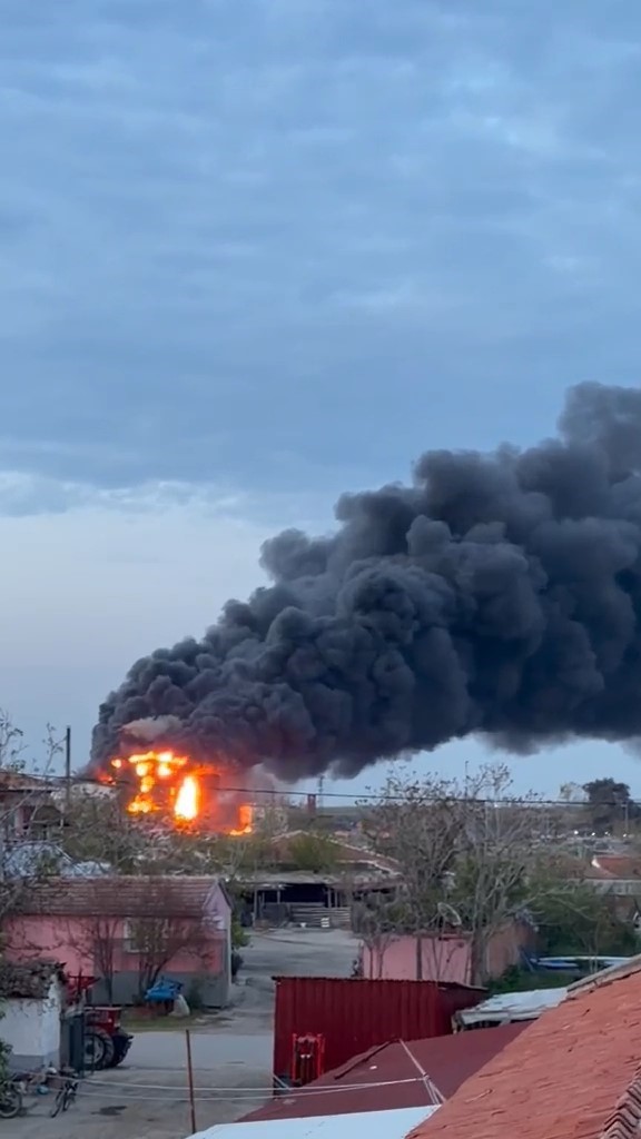 Edirne’de kereste fabrikasında yangın
