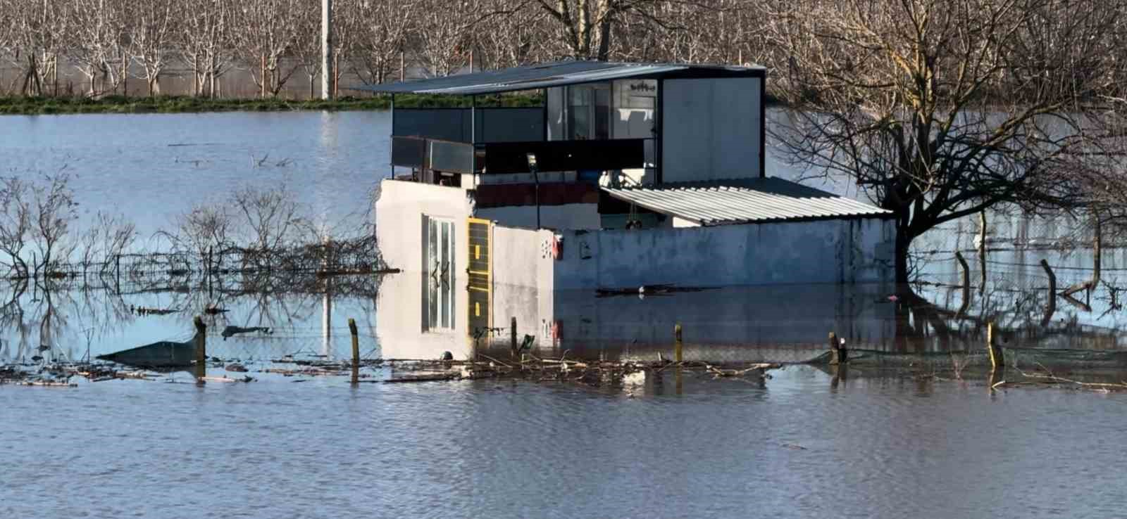 Edirne’de Meriç Nehri taştı, çok sayıda hobi bahçesi su altında kaldı
