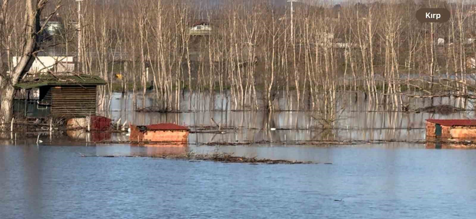 Edirne’de Meriç Nehri taştı, çok sayıda hobi bahçesi su altında kaldı
