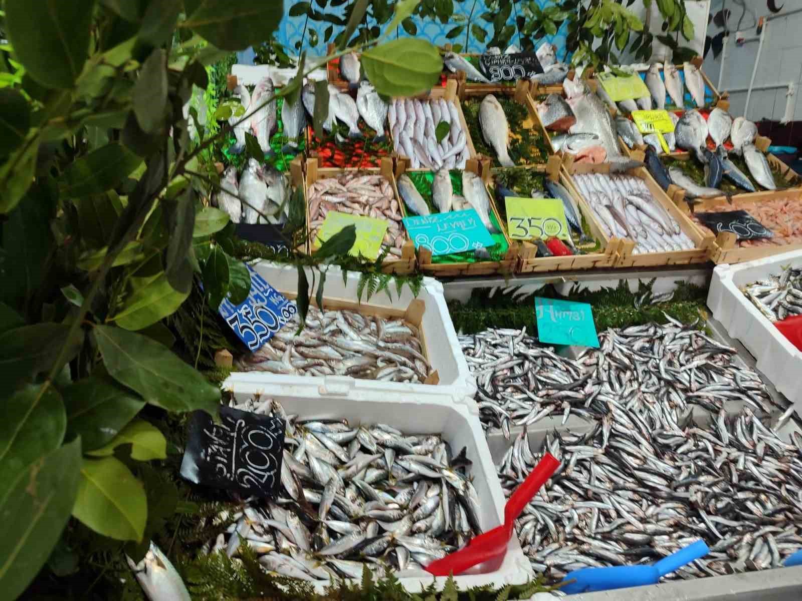 Edirne’de su ürünleri denetimleri sürüyor
