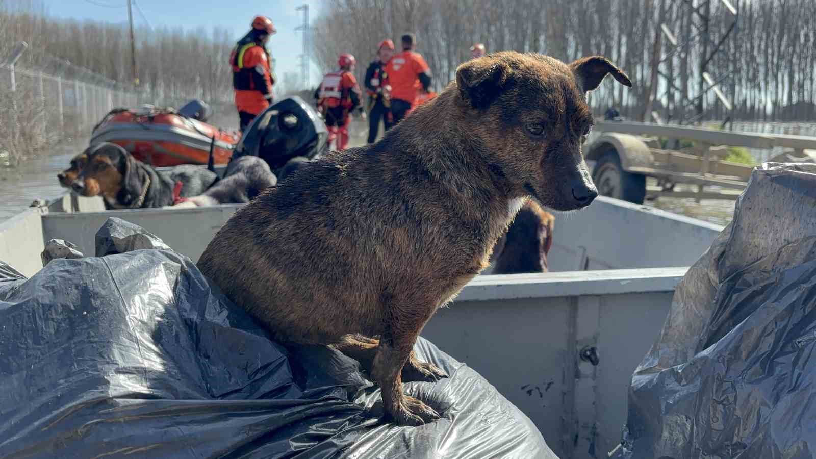 Edirne’de sular altında kalan yerleşim alanları ve çiftlikler havadan görüntülendi
