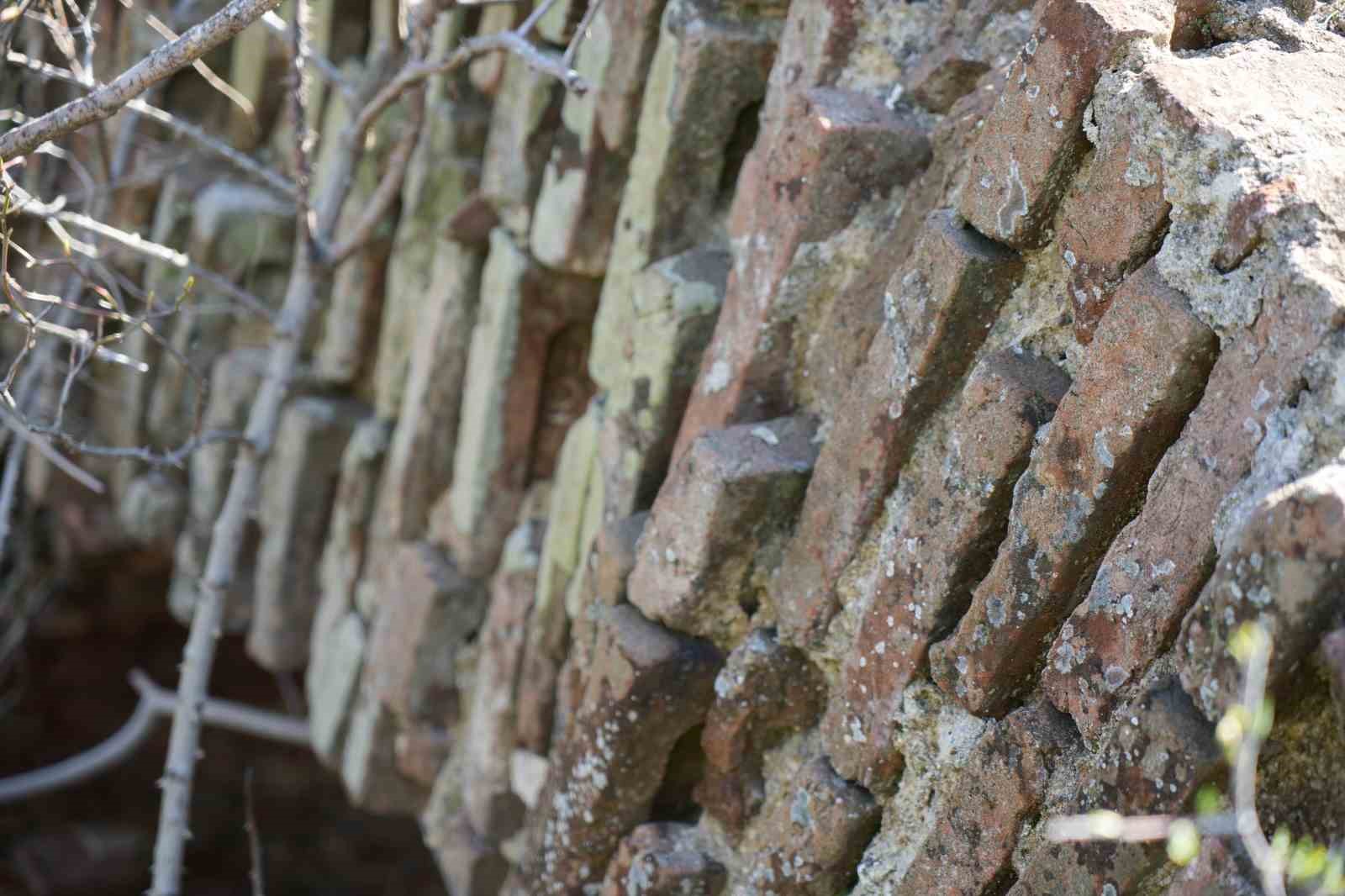 Edirne’de tarihi tabyalar yok olma tehlikesiyle karşı karşıya
