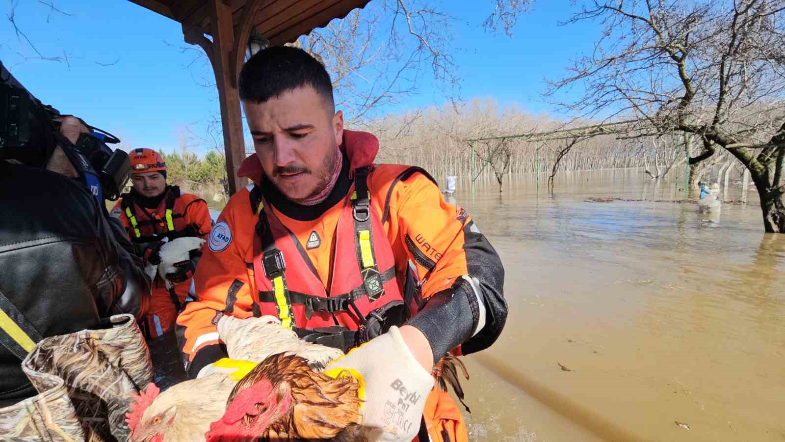 Edirne’de taşan su seviyesi yer yer 2.5 metreye yükseldi: Mahsur kalan hayvanlar kurtarılıyor
