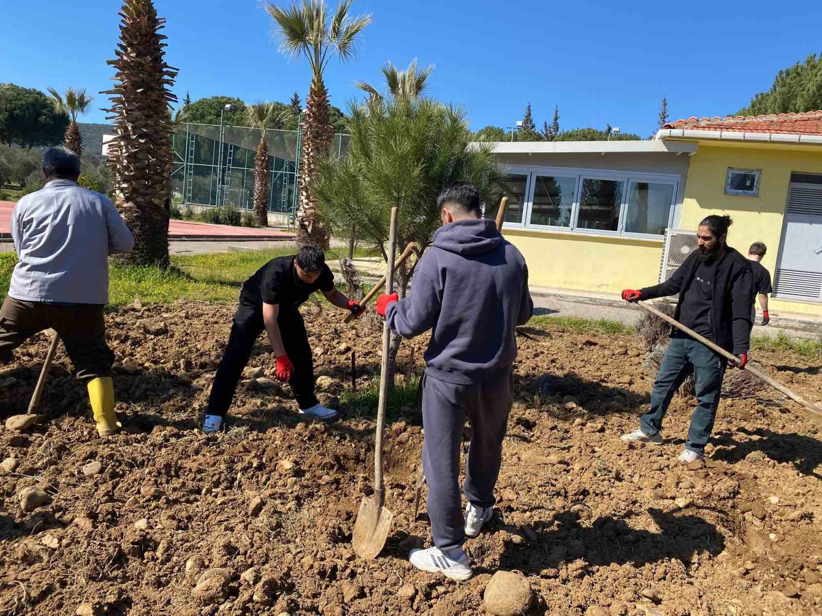 Edremit Meslek Yüksekokulu’nda lavanta bahçesi için dikim çalışmaları başladı
