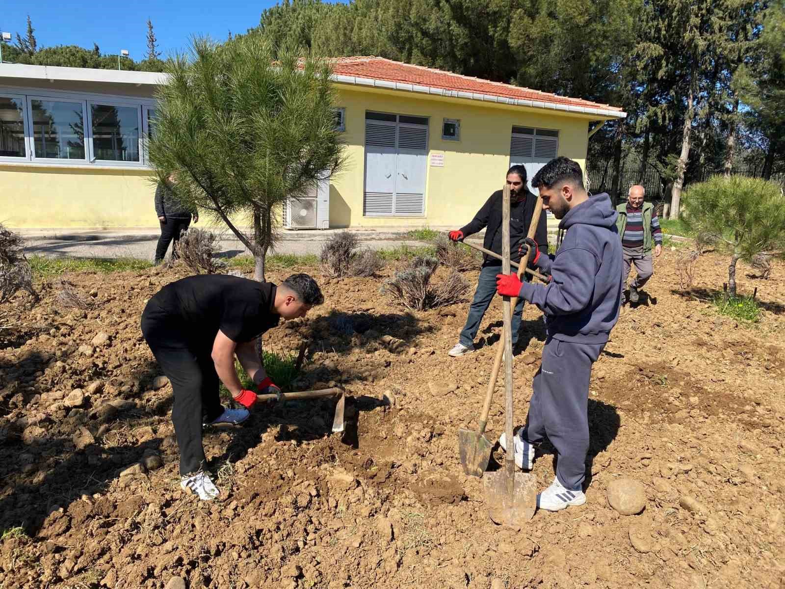 Edremit Meslek Yüksekokulu’nda lavanta bahçesi için dikim çalışmaları başladı
