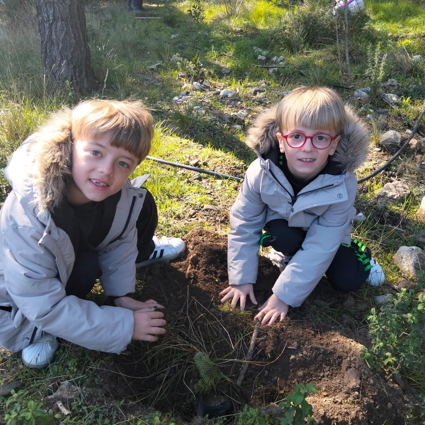 Edremitli öğrenciler Kazdağları Bal Ormanına fidan dikti

