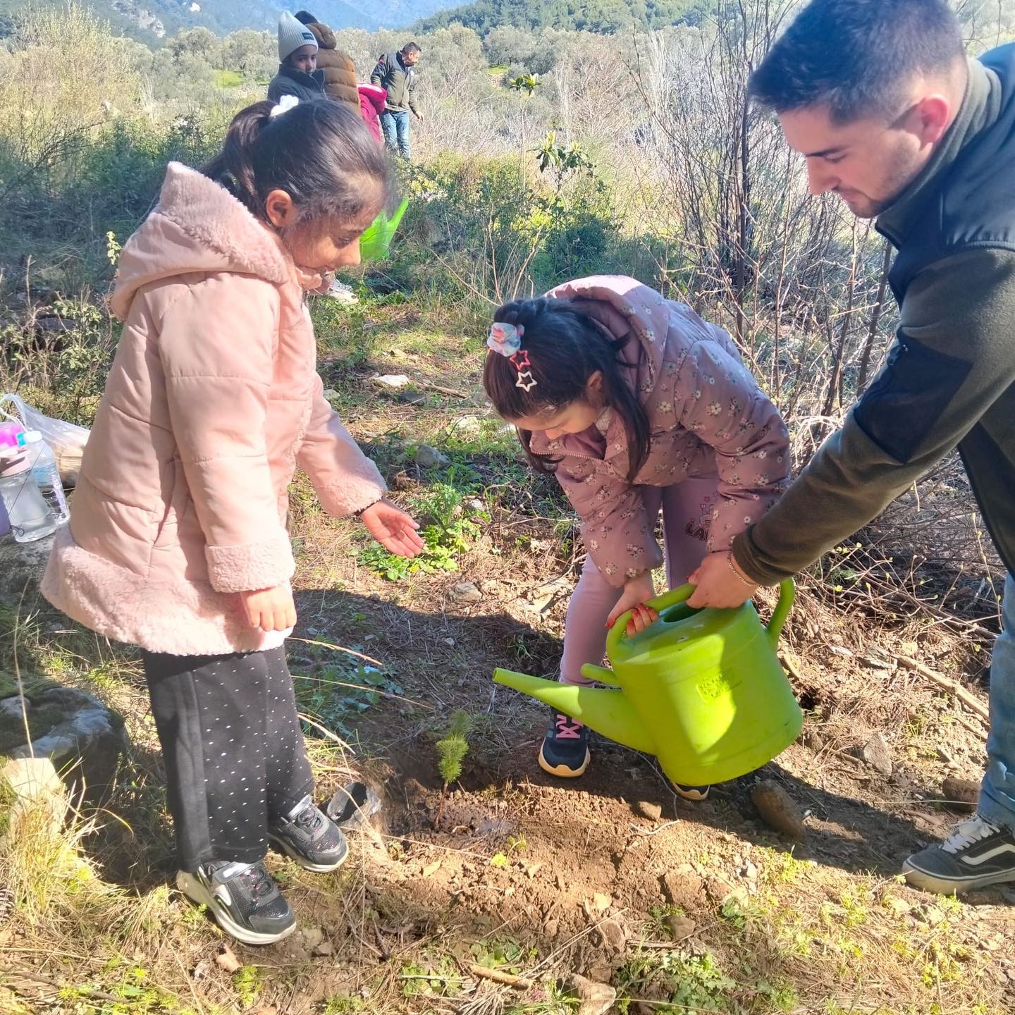 Edremitli öğrenciler Kazdağları Bal Ormanına fidan dikti
