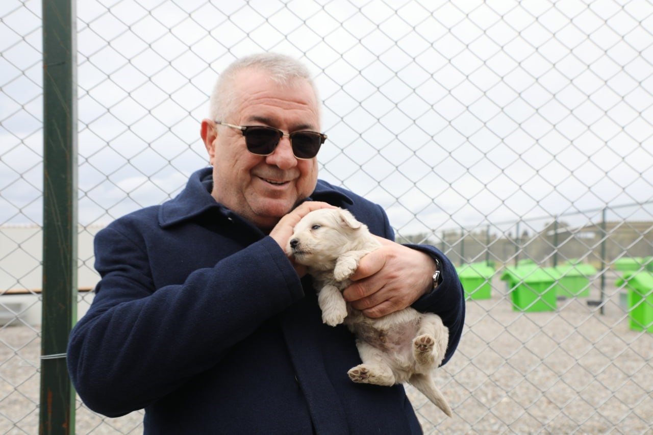 Edremit’te can dostlar için doğal yaşam alanı açılıyor
