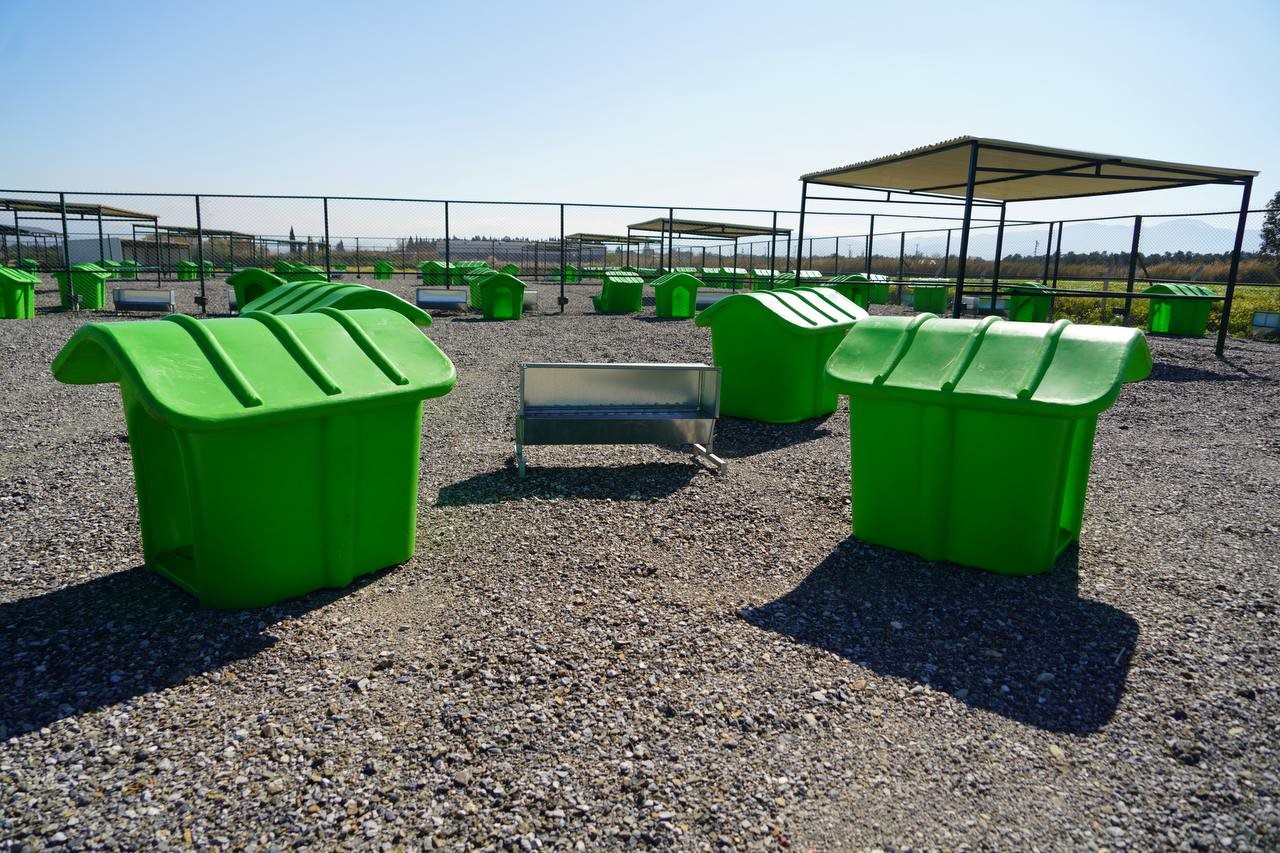 Edremit’te can dostlar için doğal yaşam alanı açılıyor
