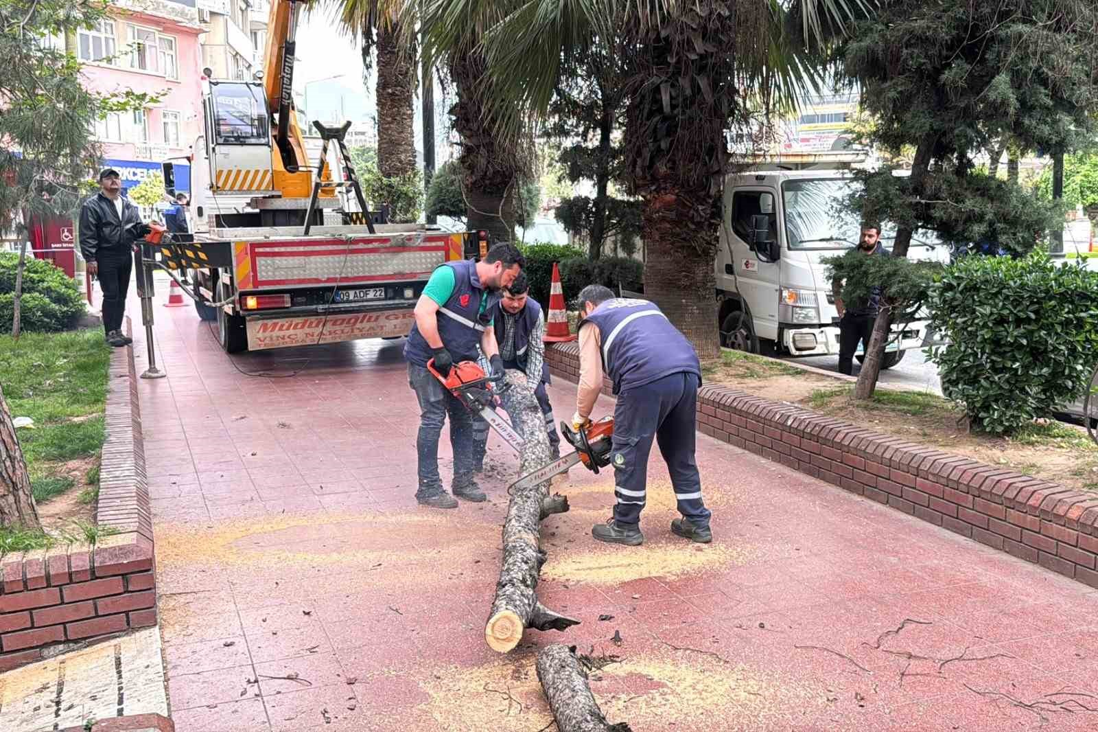 Efeler Belediyesi parkları güvenli hale getiriyor
