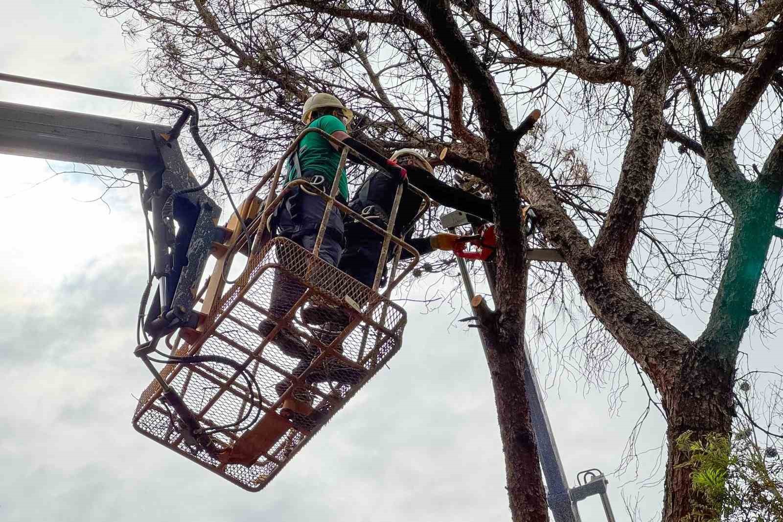 Efeler Belediyesi parkları güvenli hale getiriyor
