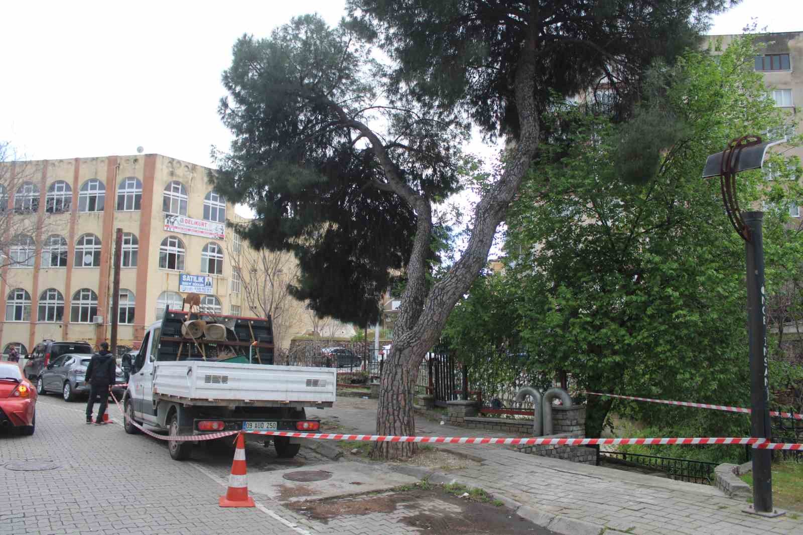 Efeler’de yağışlara dayanamayan 2 ağaç yan yattı
