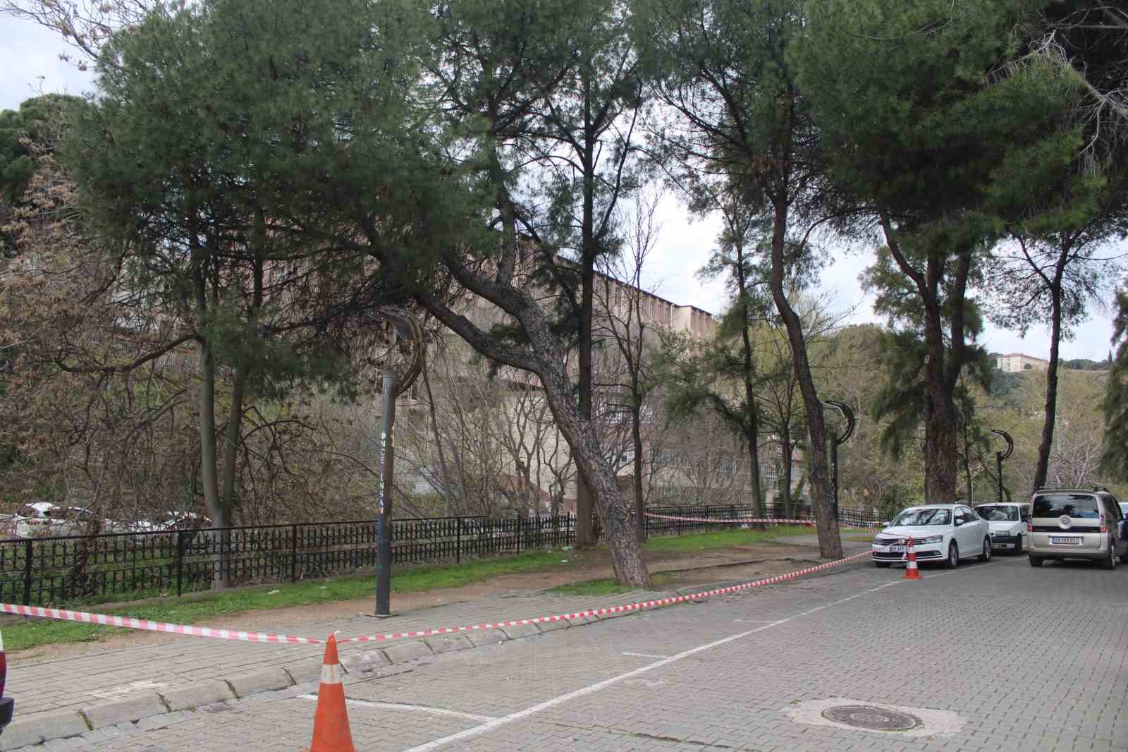 Efeler’de yağışlara dayanamayan 2 ağaç yan yattı
