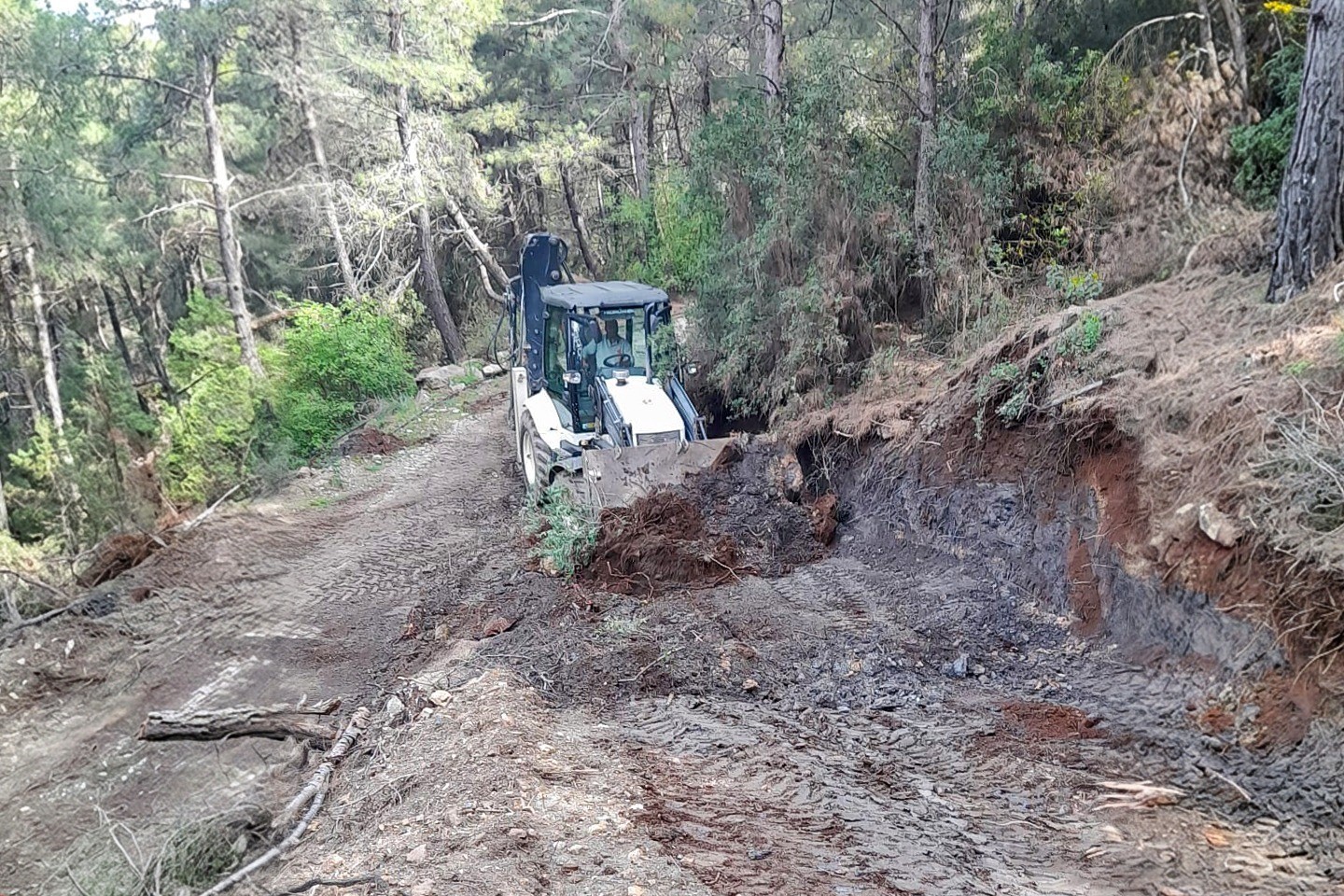 Efeler’in her noktasında çalışmalar sürüyor
