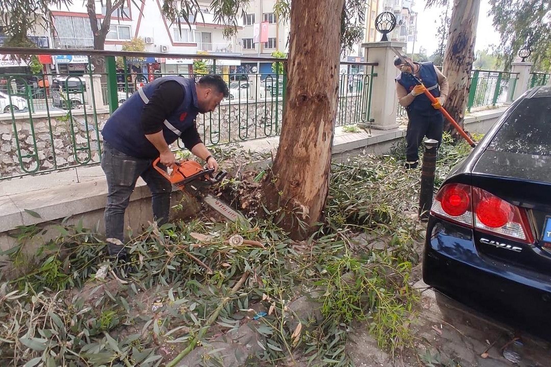 Efeler’in her noktasında çalışmalar sürüyor
