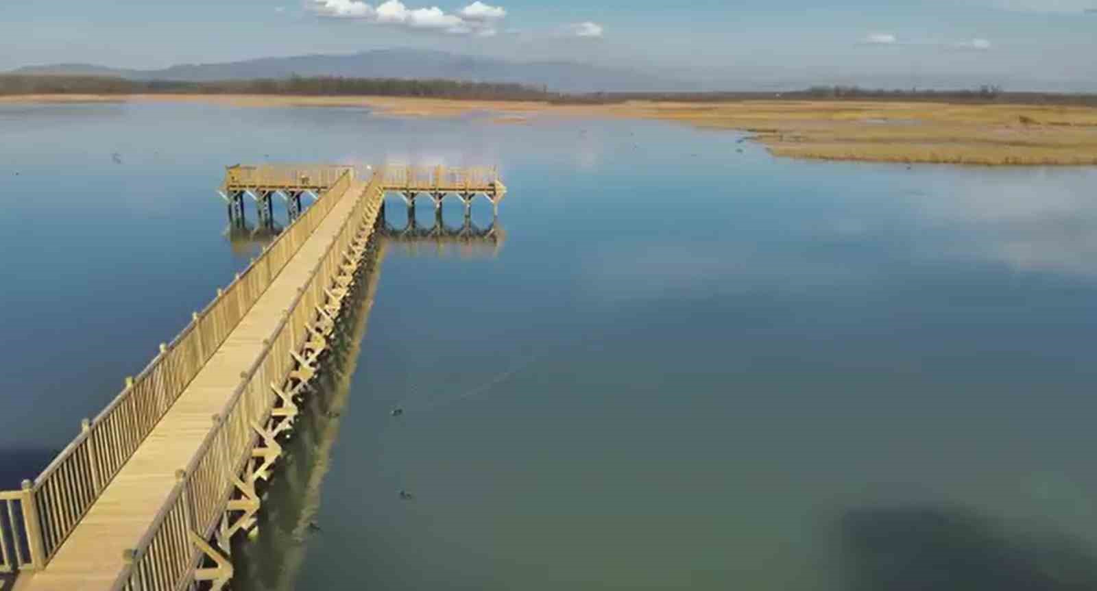 Efteni Gölü kuğuları misafir etti
